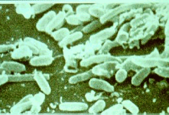 legionella-compliance legionella compliance